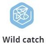 wild catch