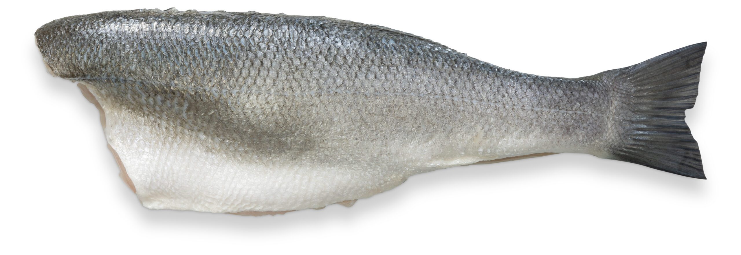 Seabass fillet with skin