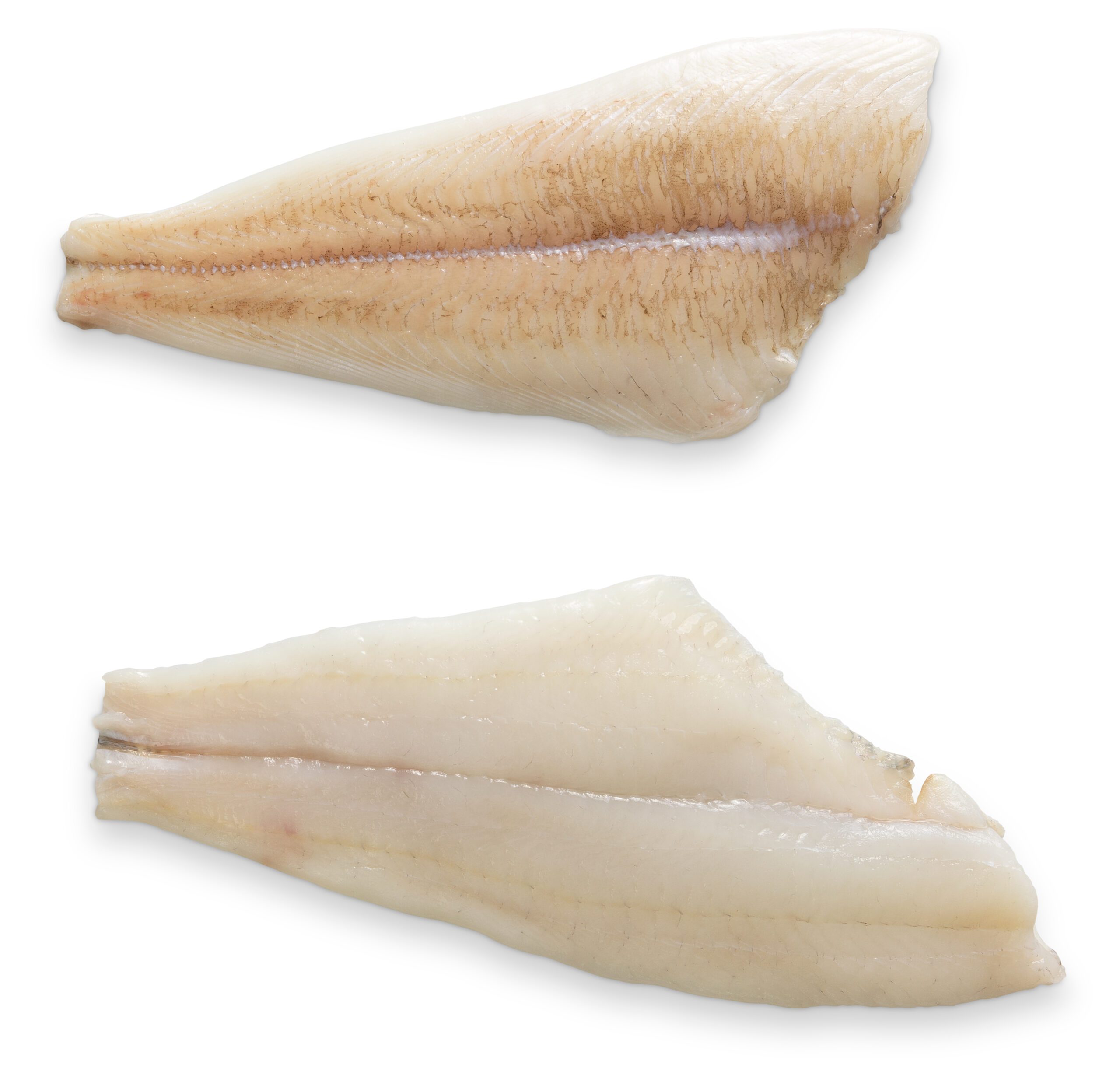 plaice fillet