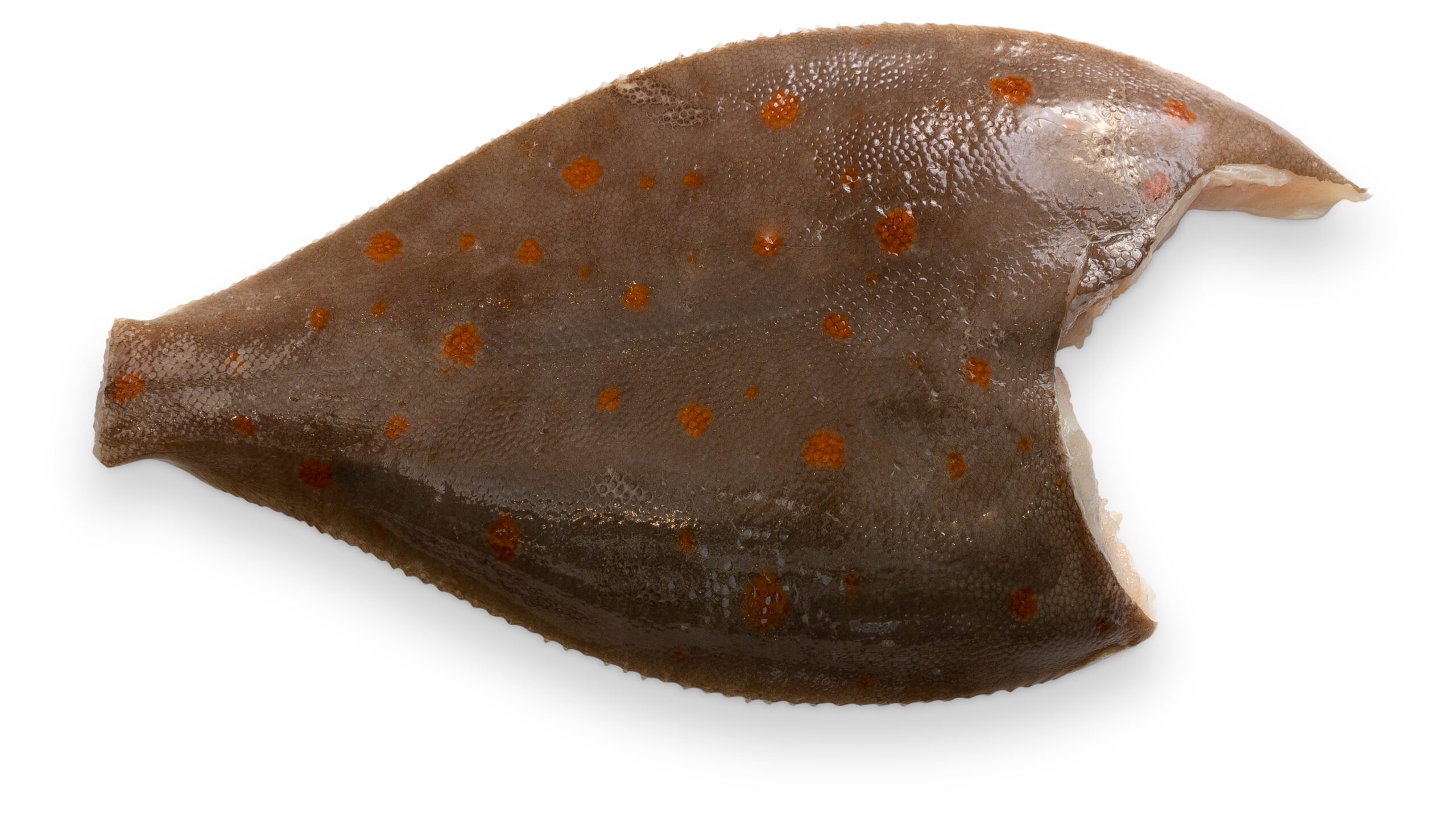 plaice with skin